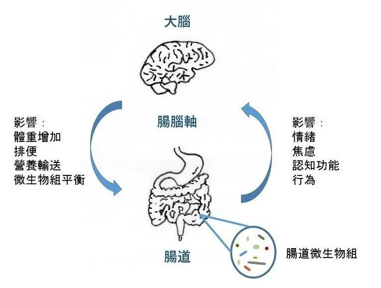 躁郁症患者老得更快，并且他们的大脑可能发炎了