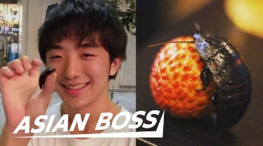 猎奇!食虫少年和蟑螂的恋爱物语!日本少年筱原佑太酷爱虫子