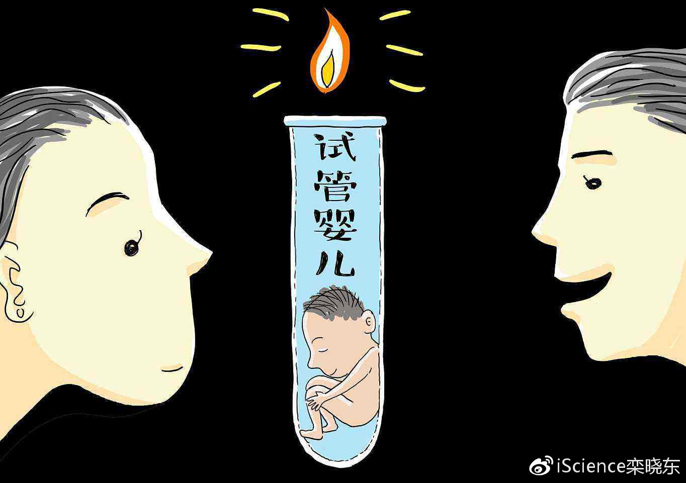 成都最大的助孕公司(试管婴儿系列科普之三:世界各国的试管婴儿)