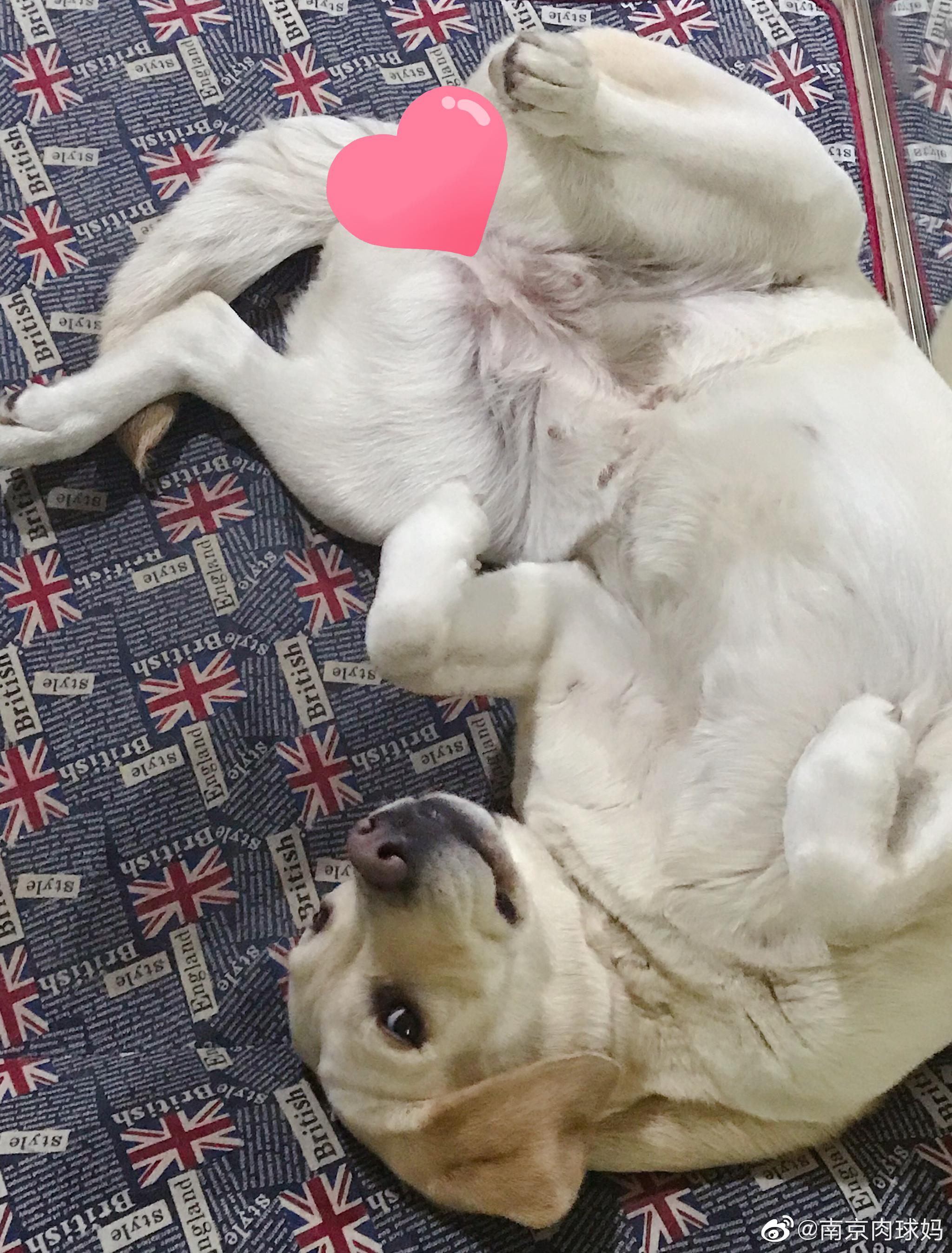 2019/4/29叉烧烤翅 蔓越莓贝果 青菜平菇 桂花红枣银耳羹 红提下雨天