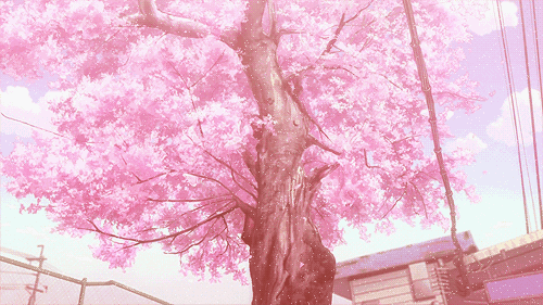 桃花纷纷，5月下旬，这几大星座，将遇见两人，永结同心，往后余生