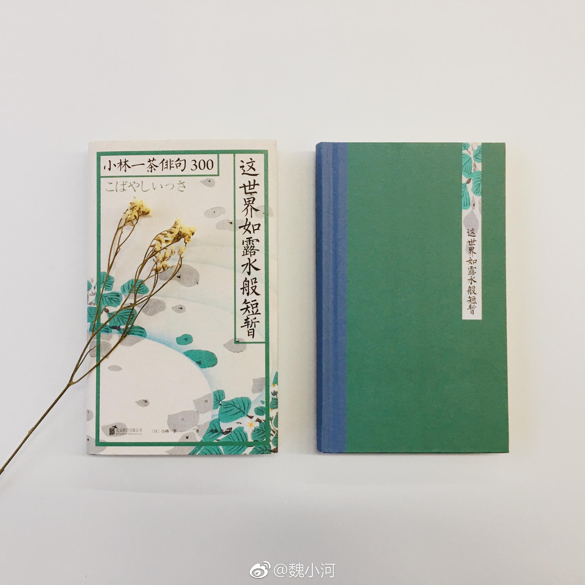 一 茶 小林