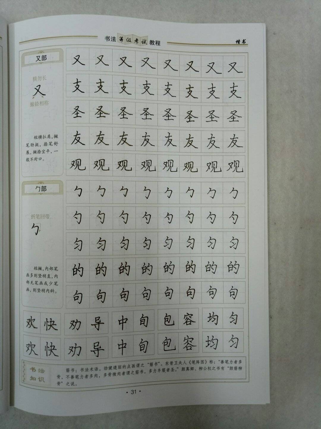 当代国画家徐鹤硬笔楷书基本笔画日课  