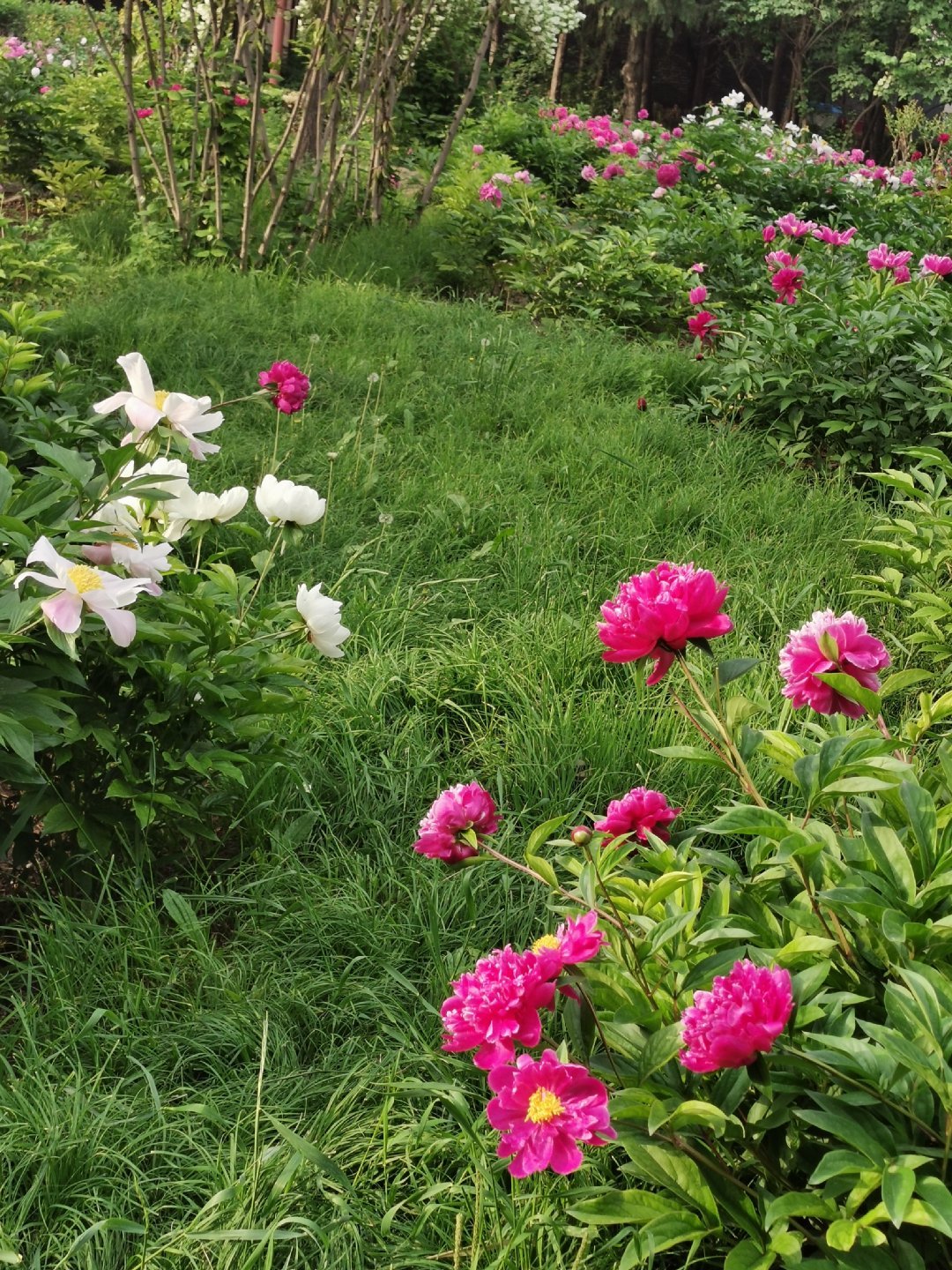 干什么都是好的；但要干出个样子来