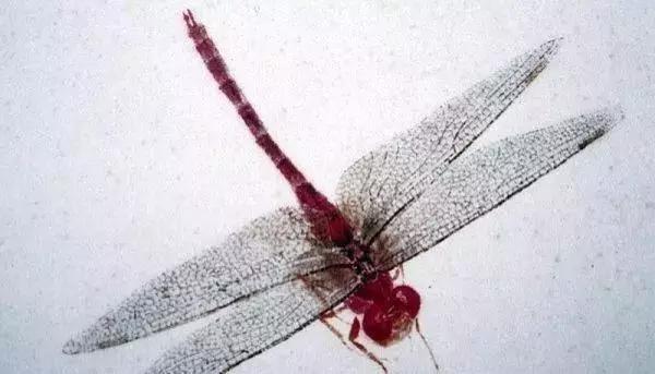 ���ʯ�������ѣ�����дʵ���ܺ���Ƭ������