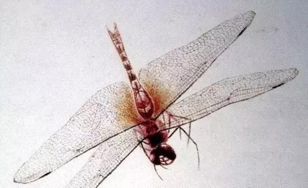 ���ʯ�������ѣ�����дʵ���ܺ���Ƭ������