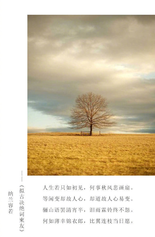 九首唯美的纳兰容若经典诗词~