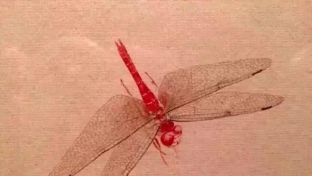 ���ʯ�������ѣ�����дʵ���ܺ���Ƭ������