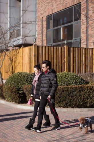 汪峰章子怡小区牵手遛狗,帮老婆暖手画面超温