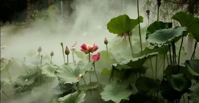 南京大屠杀历史真相 张纯如著作如何揭露日军暴行