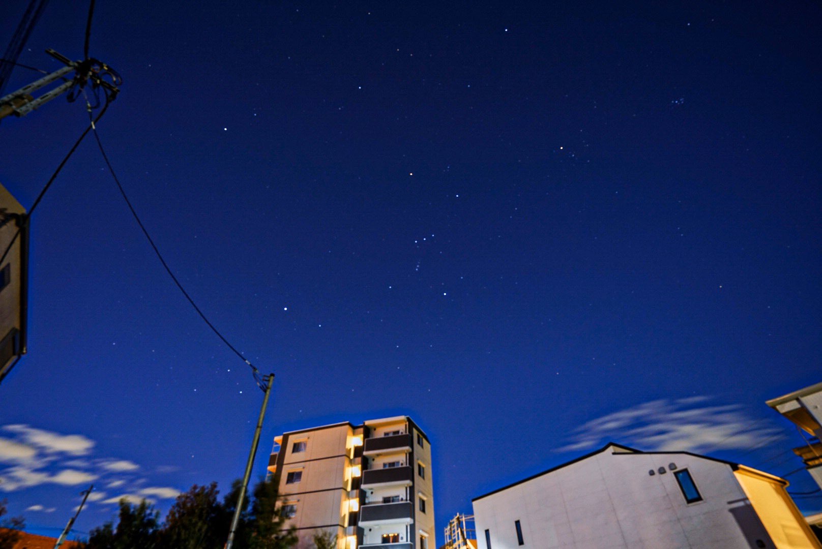 盛夏的猎户座 新浪网