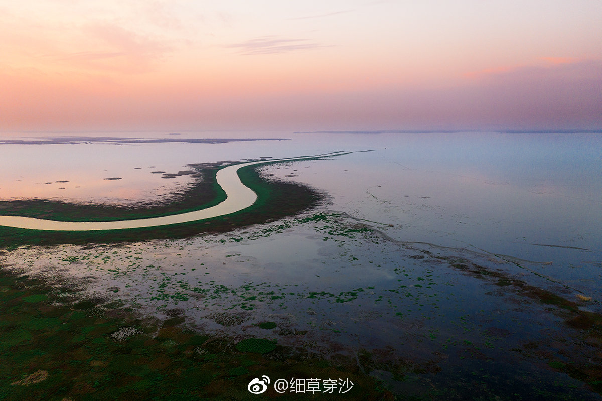 进展报道,淡水有站街吗?本地人告诉你实际状况如何