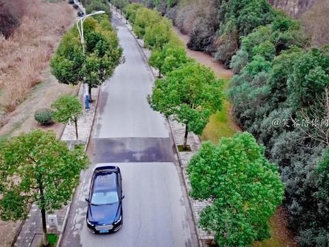 在魔都，进出一次商场和酒店停车费花了218元，网友直呼停不起