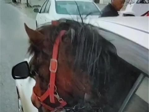 “铃木“有新的文章更新，请注意查收