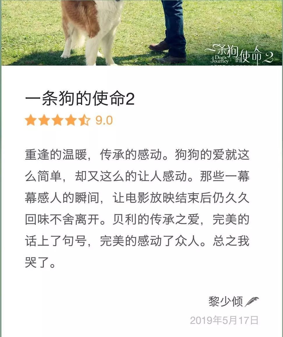 丧失理性打满分，真的好想养条狗。