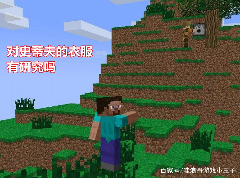 我的世界:史蒂夫的衣服是纳米技术,铁门的高科技更让玩家想不到