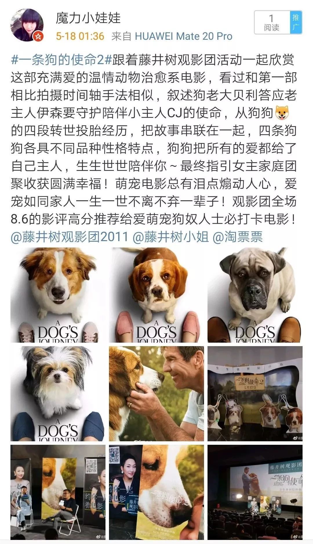 丧失理性打满分，真的好想养条狗。
