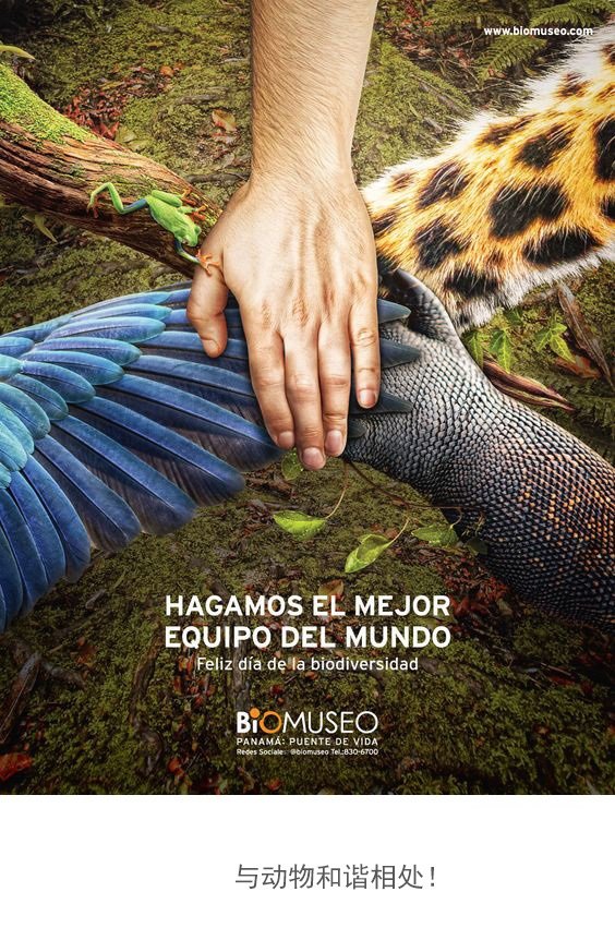 广告联盟怎么赚钱 一个网站靠流量怎么赚钱