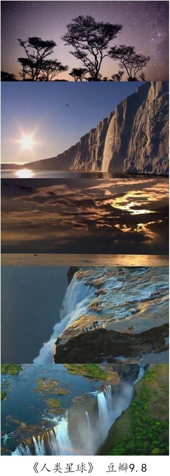 9部必看的大自然纪录片,空闲的时候可以带孩子