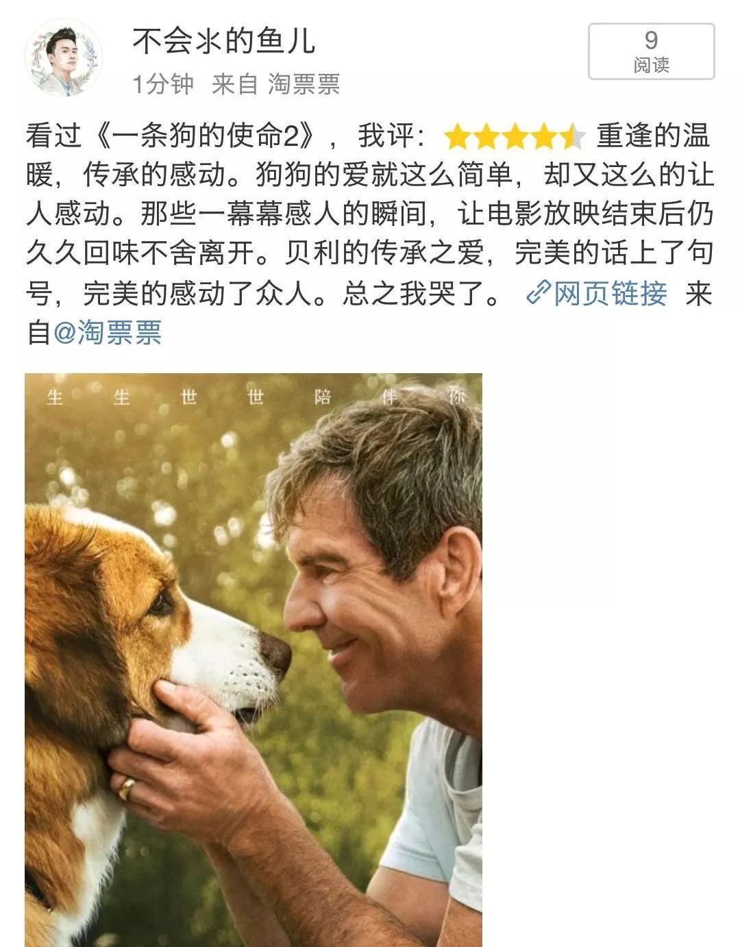 丧失理性打满分，真的好想养条狗。