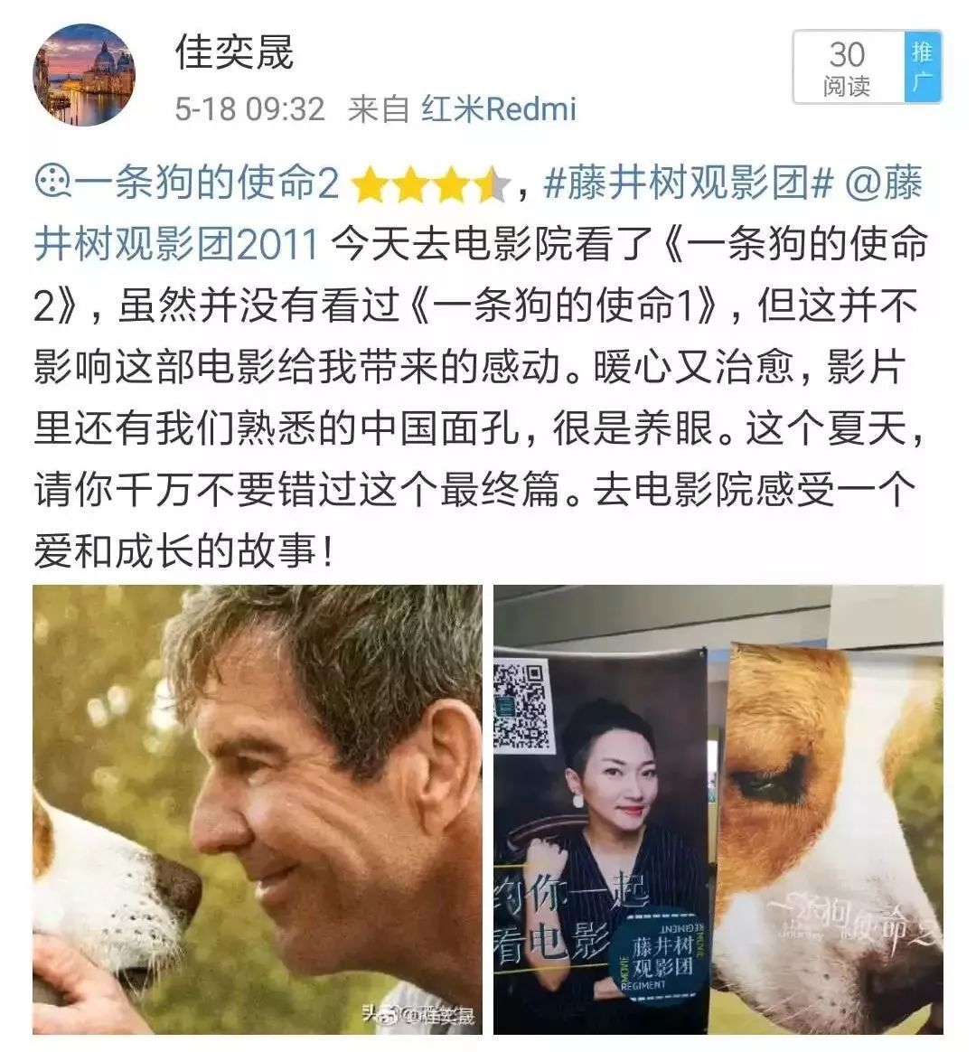 丧失理性打满分，真的好想养条狗。