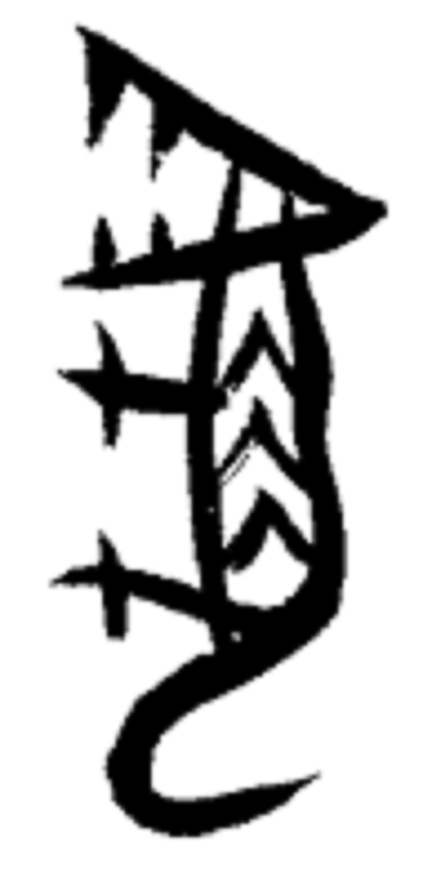 正文                  甲骨文中虎字的写法
