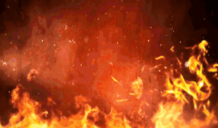 而废墟另一边,猫咪爱上解救