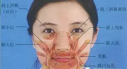 据悉,近期发生了,男女日皮网站究竟靠谱吗?用户真实体验与深度解析