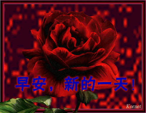 周六清晨问候早安动态祝福表情图片,群发微信早上好祝福语漂亮