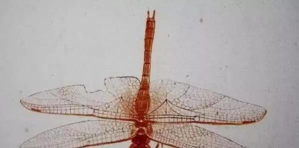 ���ʯ�������ѣ�����дʵ���ܺ���Ƭ������