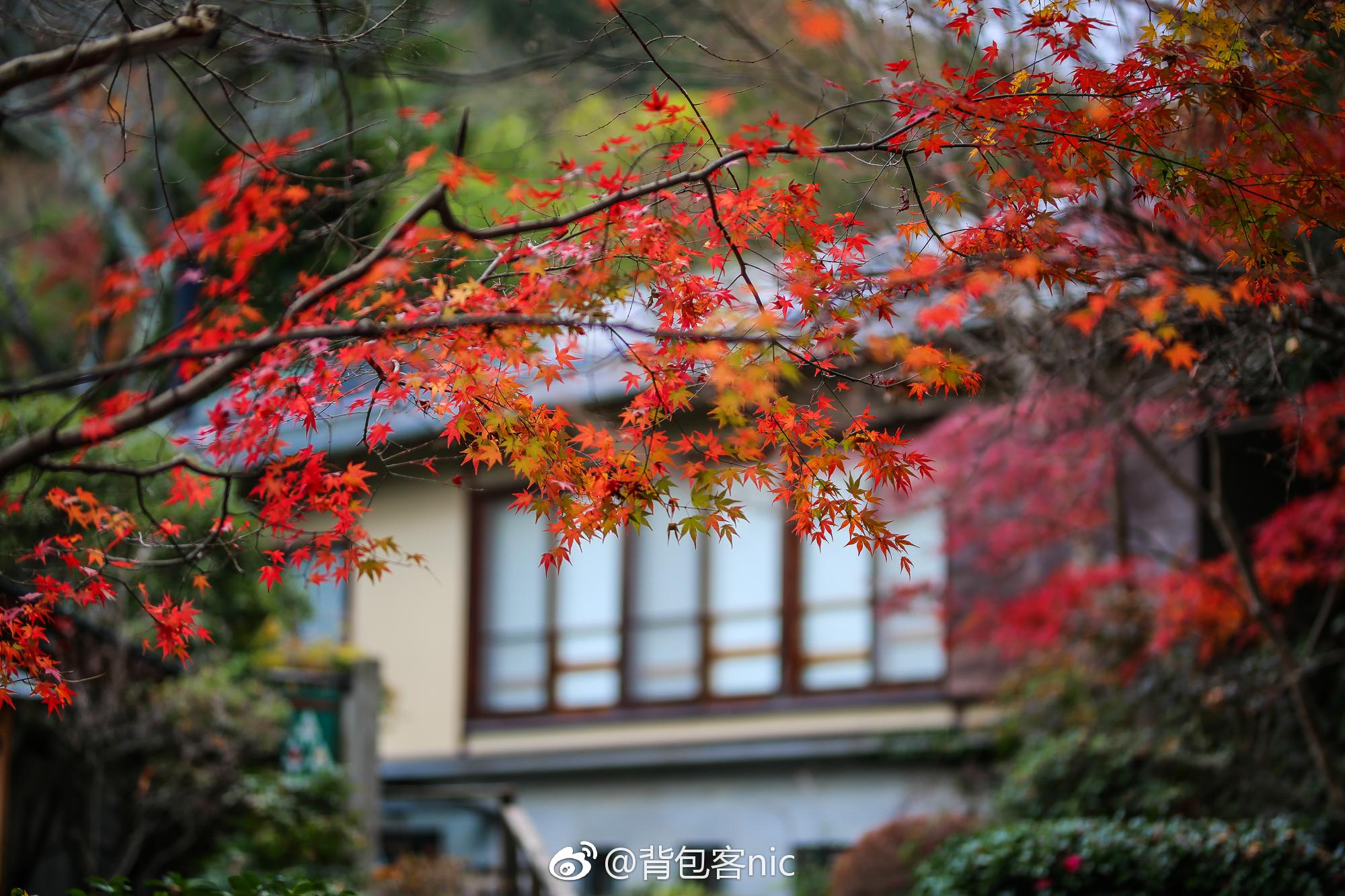 空山新雨后,天气晚来秋。