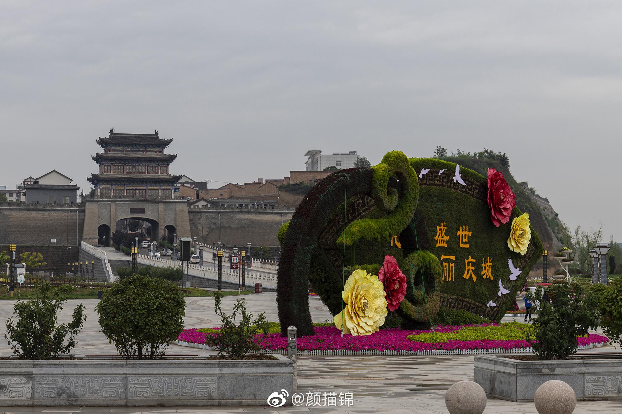 庆阳哪个学校的学生好约