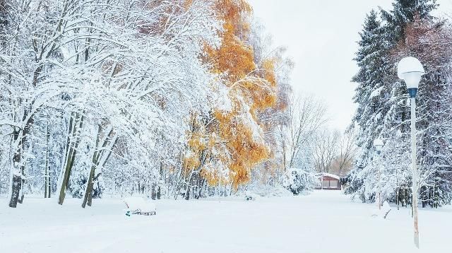 你喜欢这些与雪有关的歌曲吗？太美，太有诗意