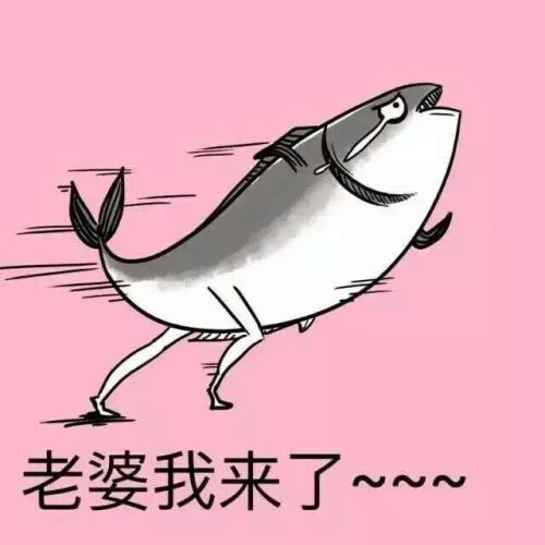 搞笑图片：咸鱼表情包大全