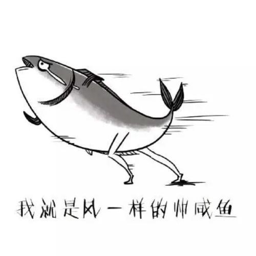 搞笑图片：咸鱼表情包大全