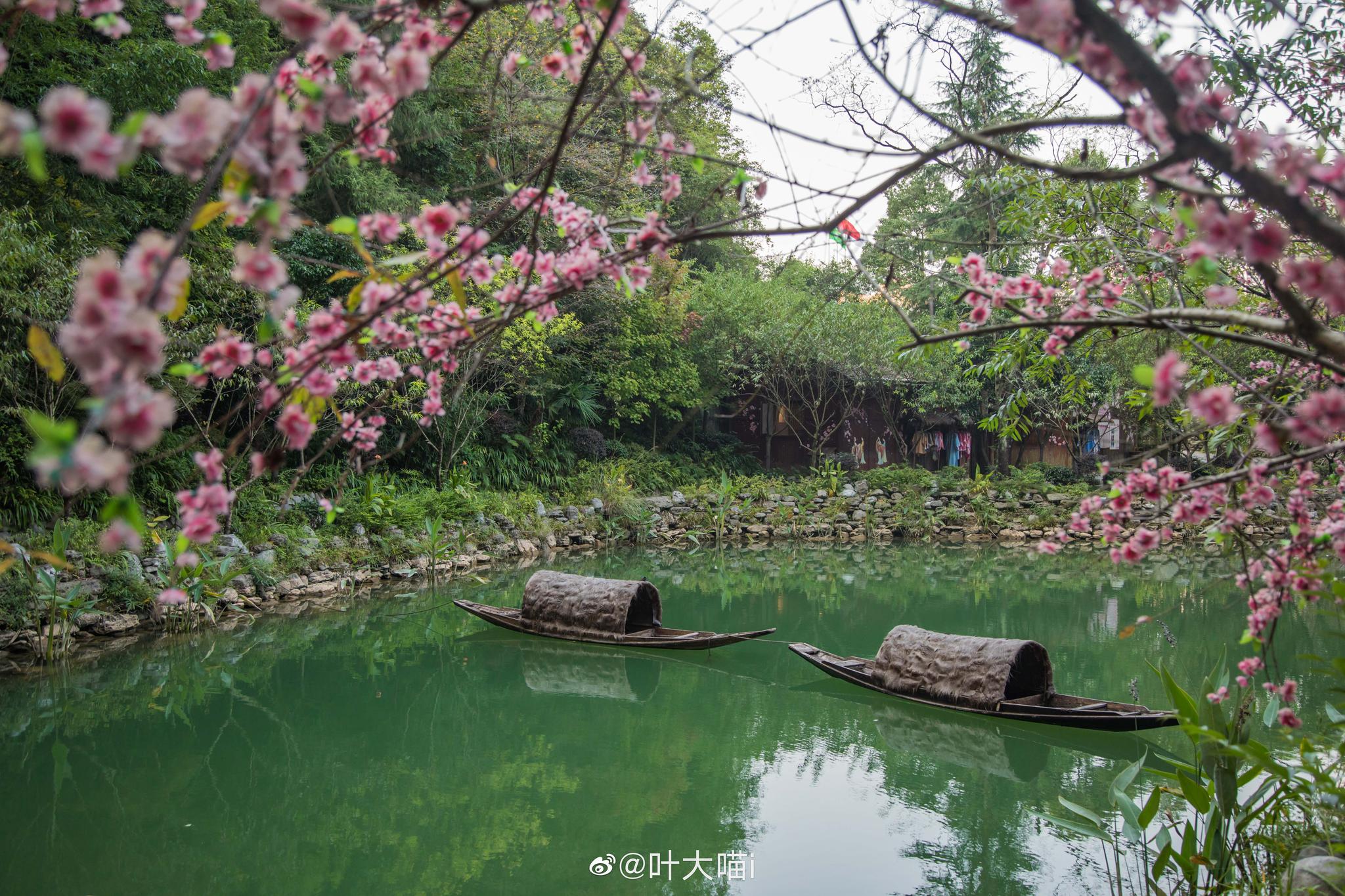 清溪的桃花源是几A的？多少钱门票？有哪些著名的景观点？（速求答案……）