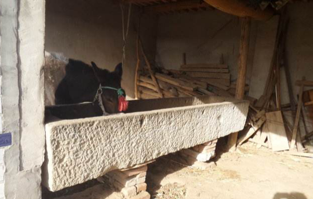 逗人发笑的经典笑话 神舟六号飞天任务全解析