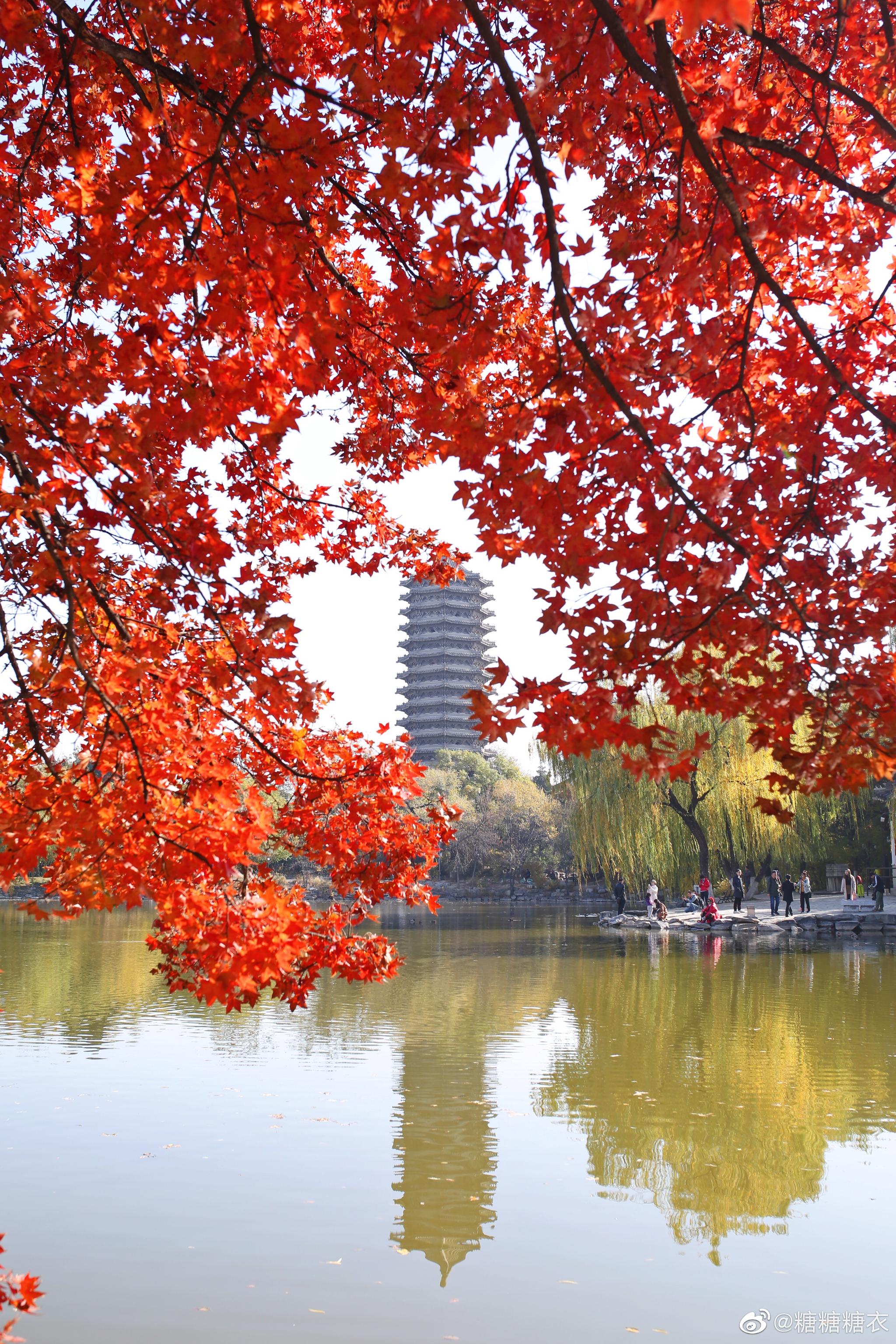 北京大学的秋天入选我心目中的北京最美秋天排行榜了