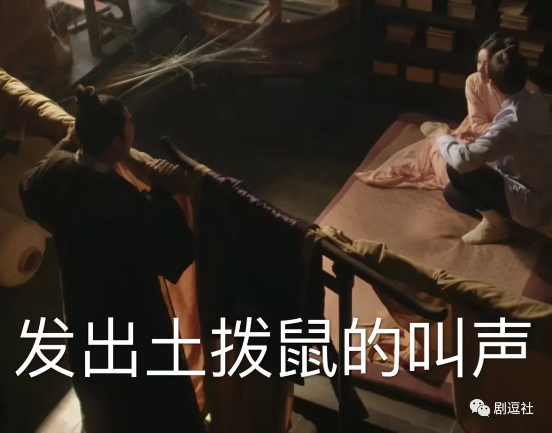 表情王沙雕表情包的动态帽子,土拨鼠盛红狼…知否大娘全员梗图片