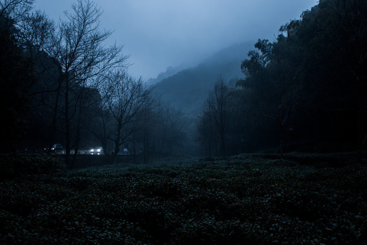 雨过晚凉生，楼中枕簟清。
