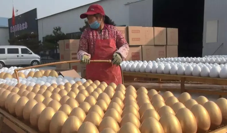 成本1块钱竟然卖了3个亿！李咏造就的“中国淘宝村”下了20亿个金蛋