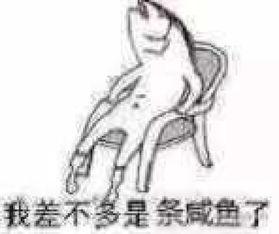 搞笑图片：咸鱼表情包大全