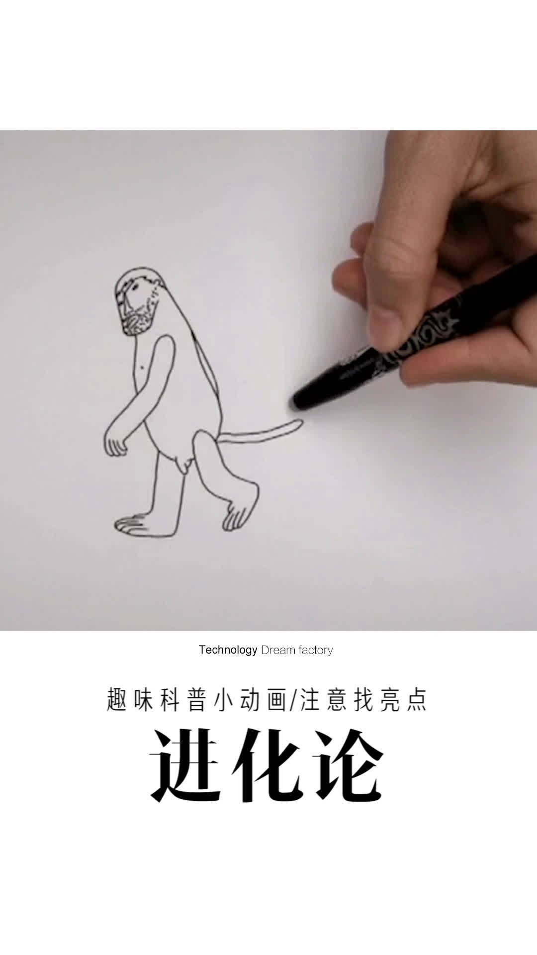 武汉狼盟是什么?新手如何避免踩坑?