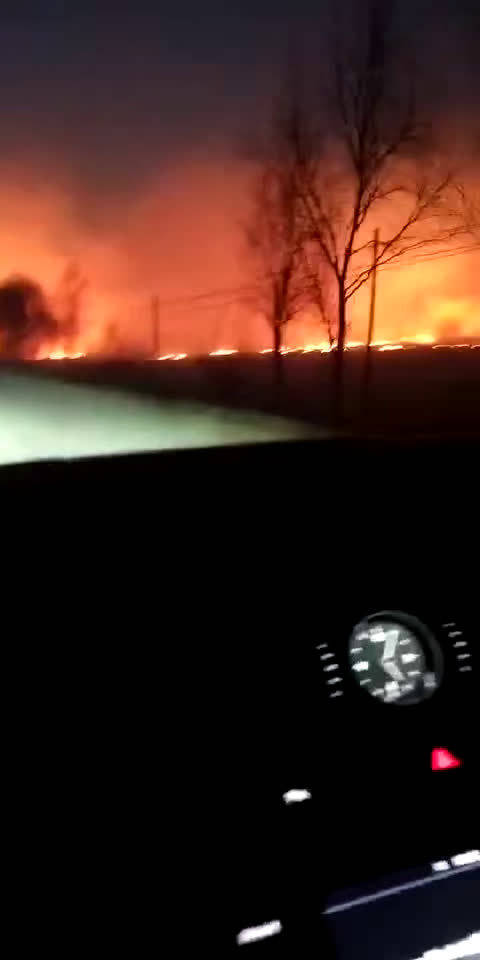 长春百晓生的看点主页_新浪看点