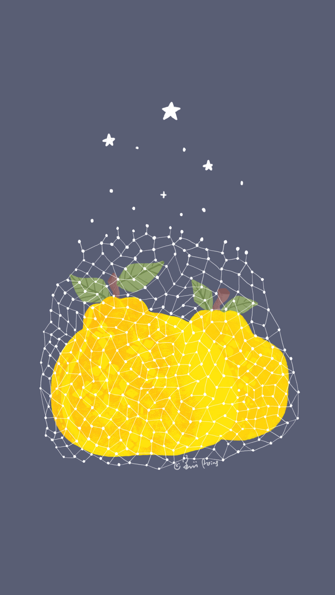 2019 新年可爱壁纸,猪柿大桔。作者@姜小姜p