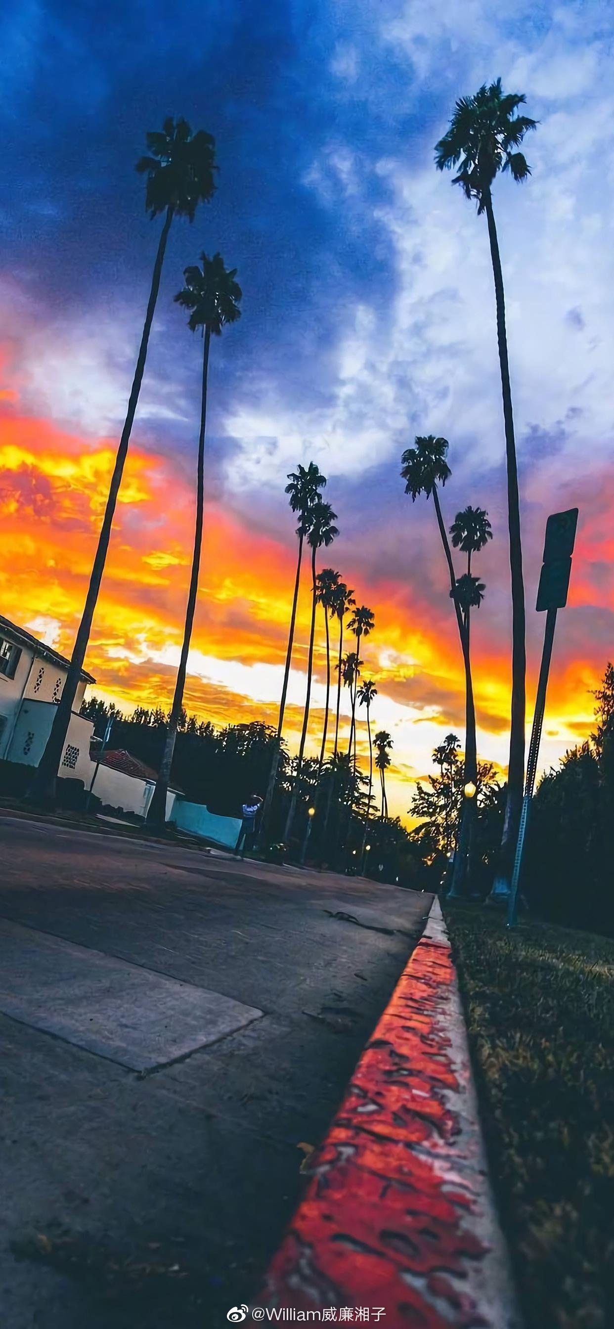 这调色 就很Nice @随手拍