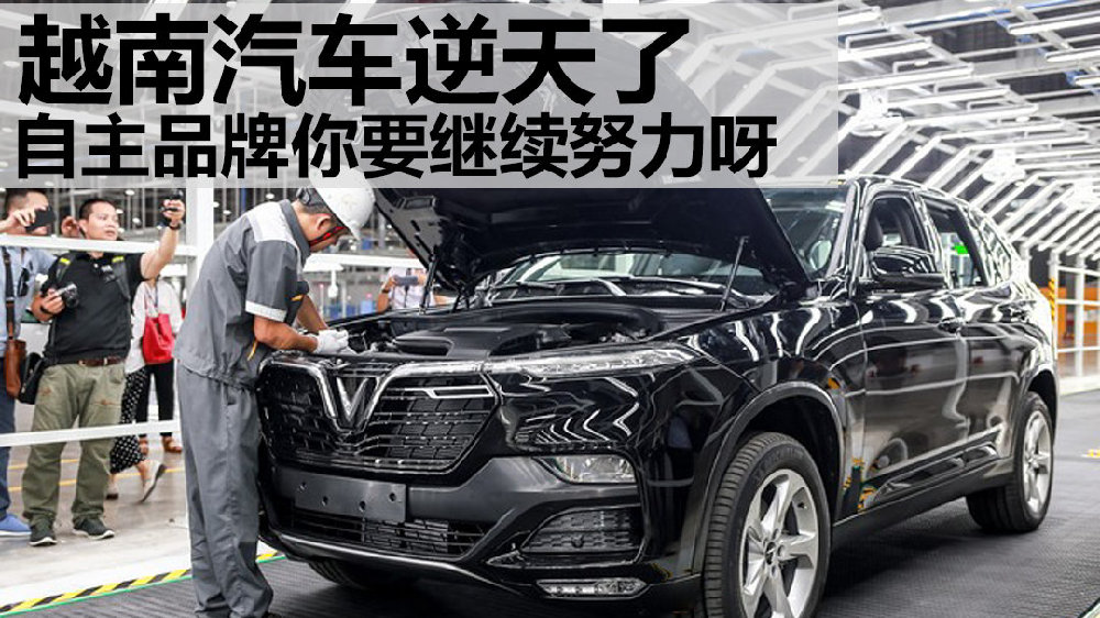 近期“自主品牌“动态汇总，都在这个专题里