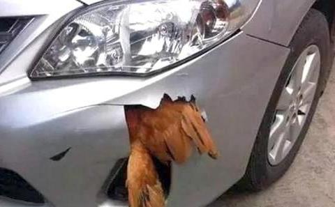 汽车保险杠是保护行人，还是保护司机？一碰就瘪，这款车出名了！