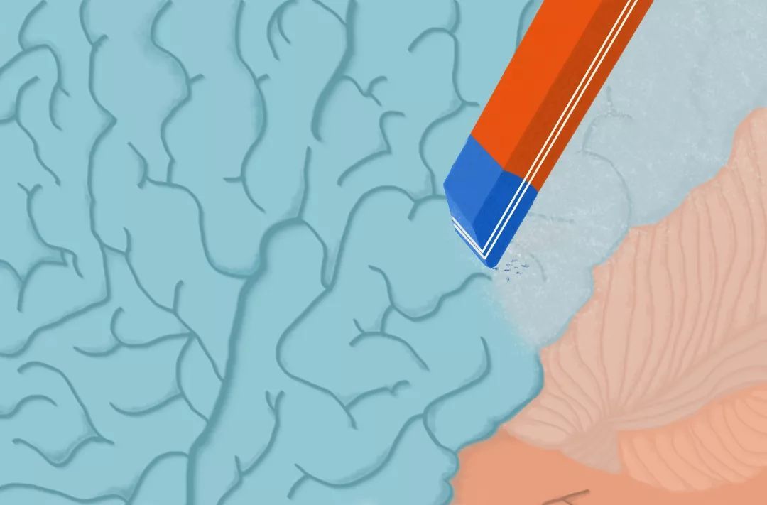 你的大脑会自动擦除记忆,毕竟垃圾太多不值得 你的大脑会自动擦除记忆,毕竟垃圾太多不值得