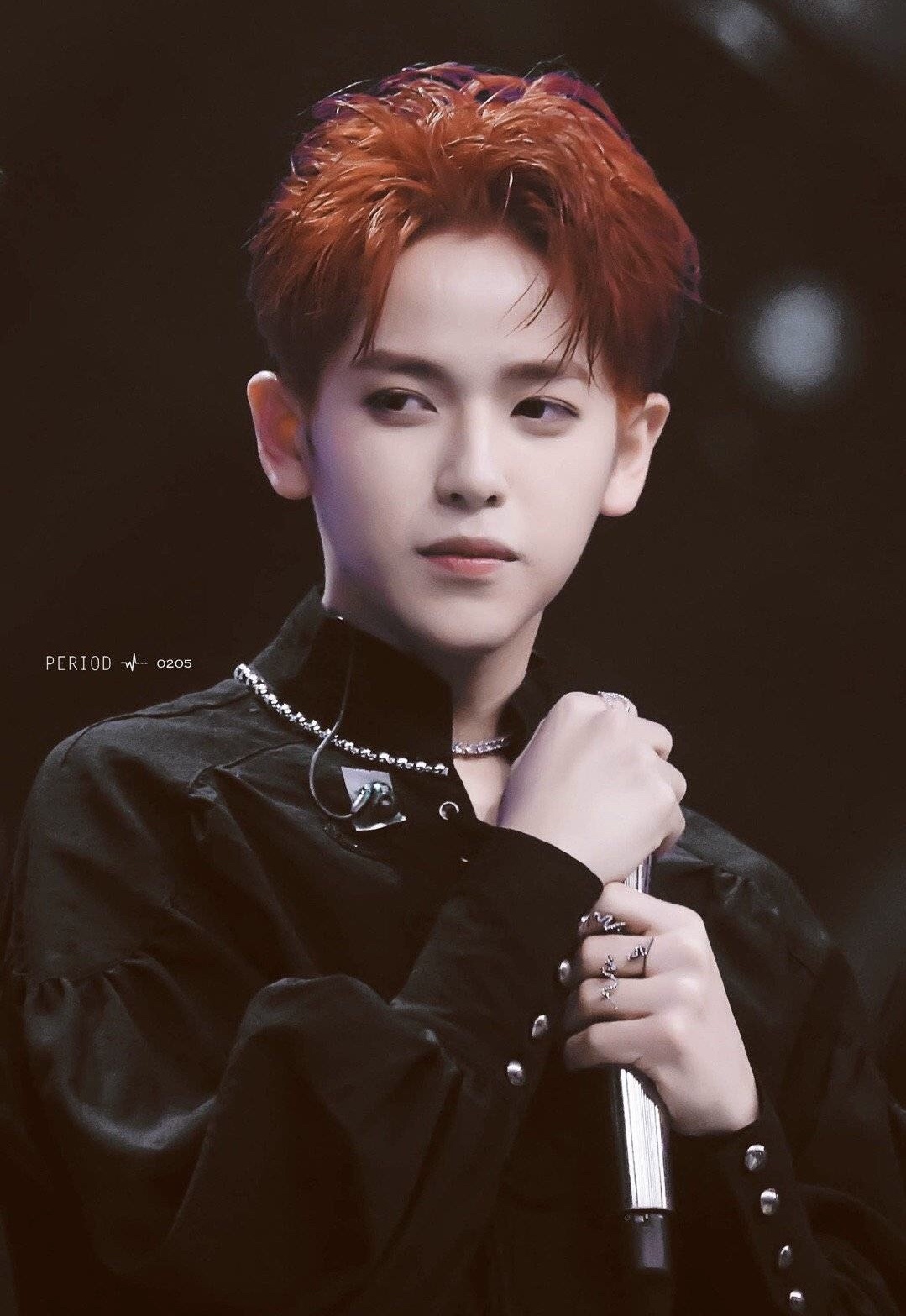 毕雯珺\/罗云熙\/刘宇宁\/胡春杨连淮伟\/邢昭林\/李